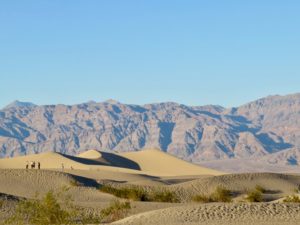 Mesquite dunes