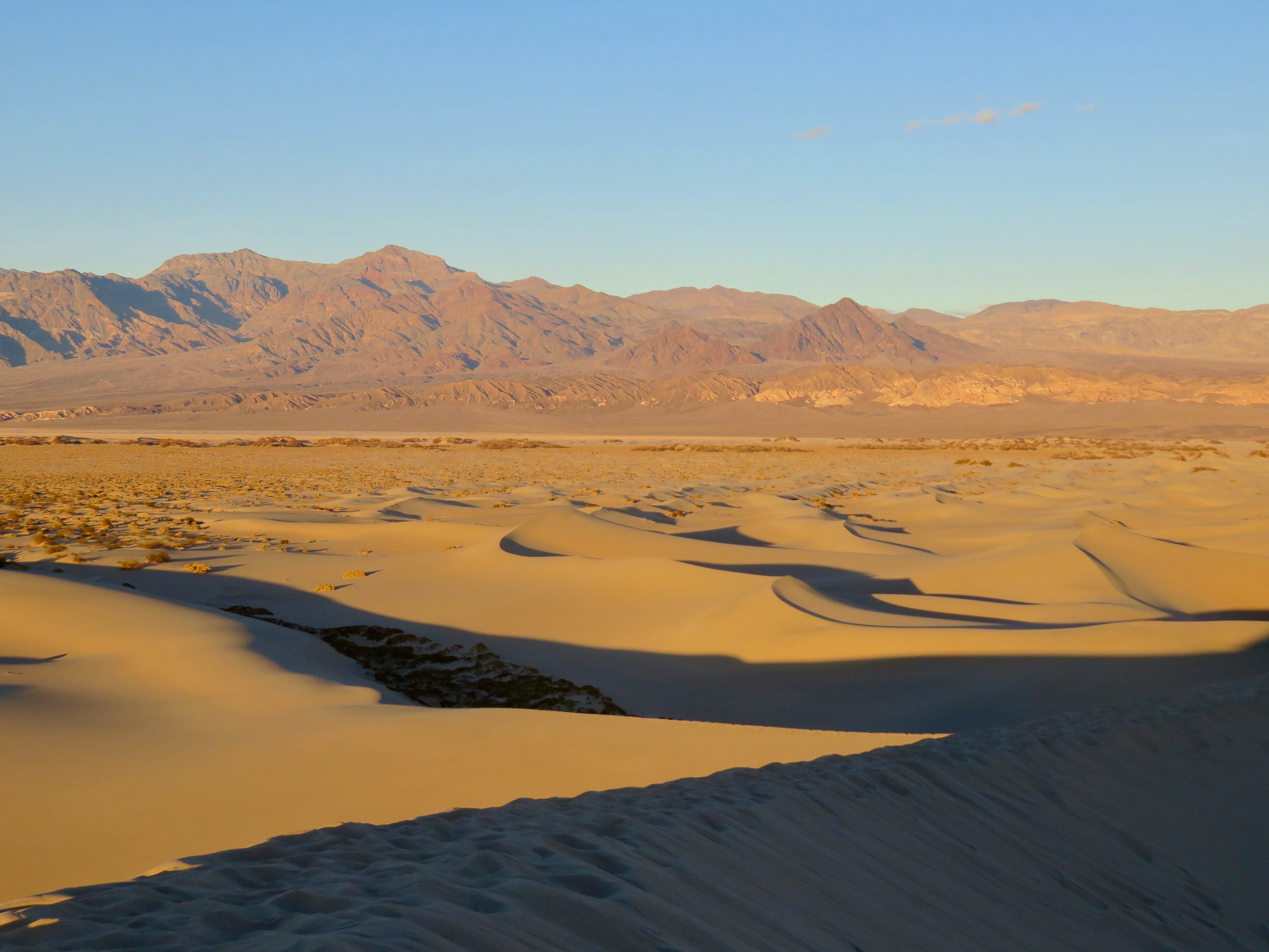 Mequite Flat Sand Dunes