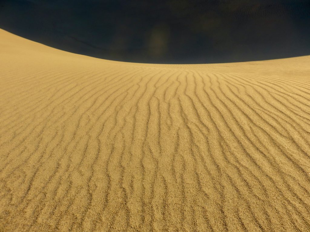 Ripples in the sand