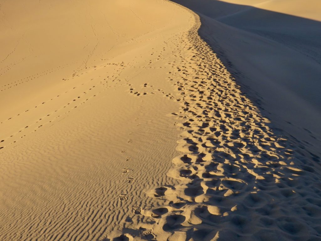 Footprints in the sand